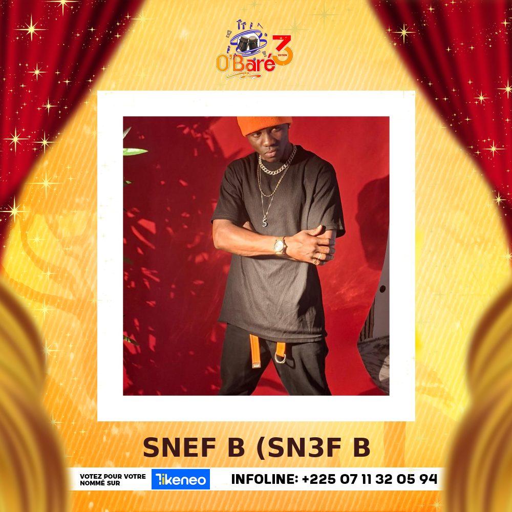 SNEF B (SN3F B