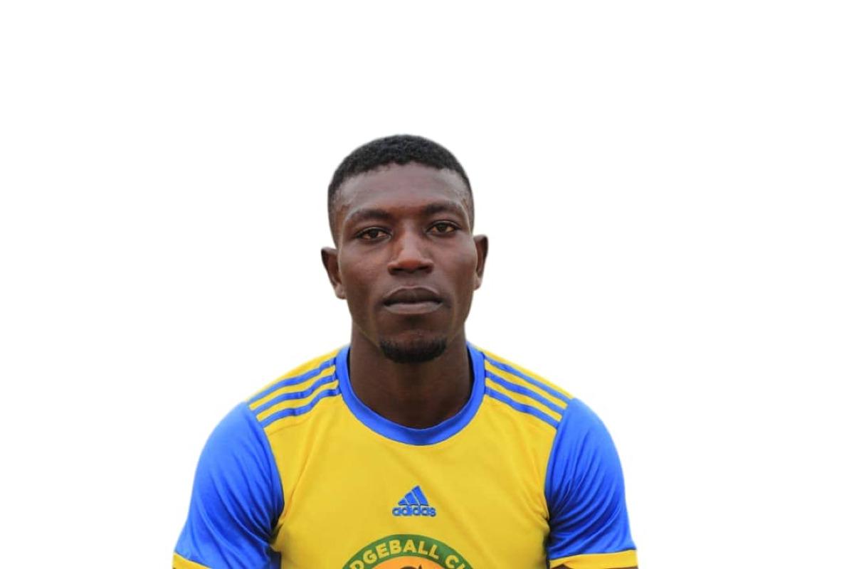 N’WOLE Excel